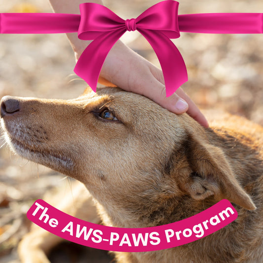 The-AWS-PAWS-Program Kyoot Kosmetics