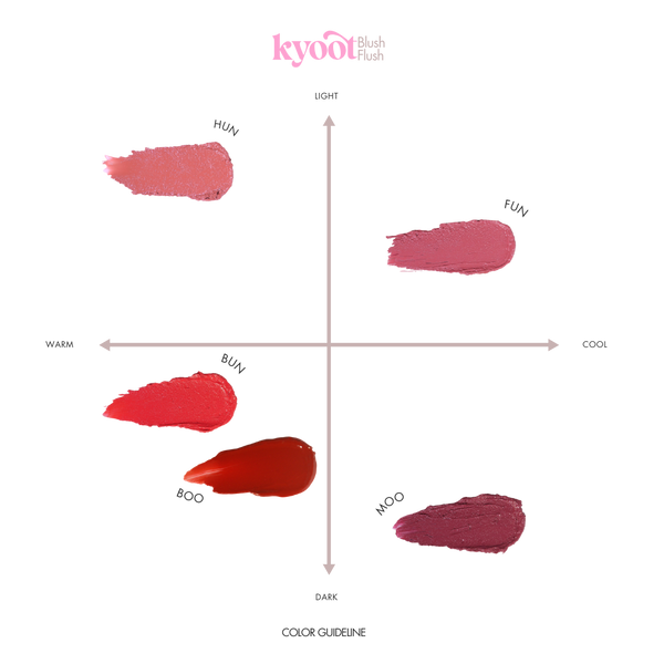 FUN! Blush Flush | 3-in-1 Demi-Matte Tint - 5 gm